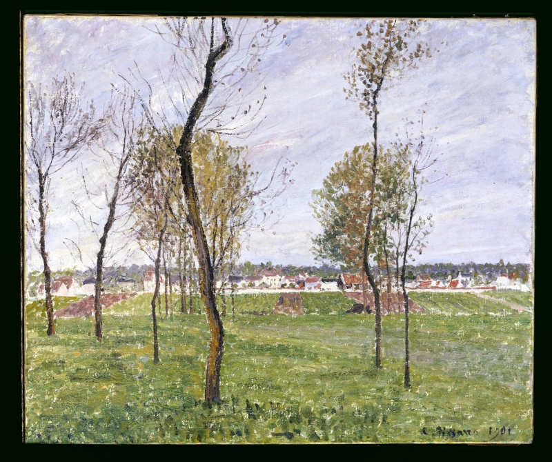A landscape featuring bare trees and green fields, with houses visible in the background under a cloudy sky.