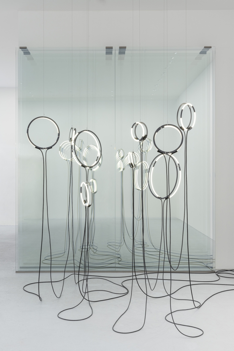 The artwork shows a group of luminous, round light bodies resting on tall, thin, black cable strands. The light bodies consist of circularly curved neon tubes or LED lights, whose clear geometry is reminiscent of luminous rings or hovering frames. The circles are at different heights, from eye to chest height, and stand in the room like a group of abstract figures. The long cables that extend downwards from the circles lie loose and curved on the floor, as if they were roots or floating lines.

In the background is a large glass wall in which the light objects are reflected. This reflection optically doubles the installation and lends it depth, complexity and an almost spatially weightless effect. The entire work is installed in a bright, minimalist space and appears open, permeable and light-filled.