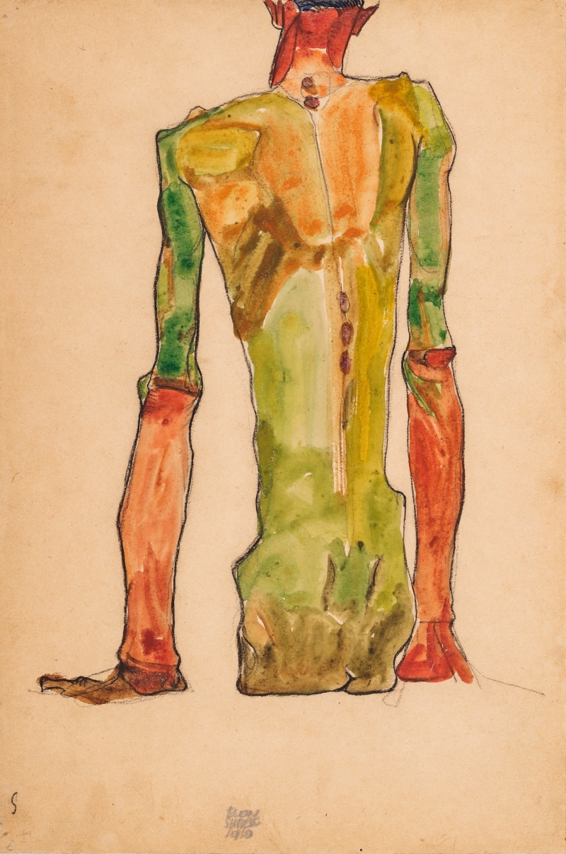 The drawing shows a male nude from behind, seated. The body takes up almost the entire height of the picture and is executed on a beige-colored, slightly aged paper. The man is unclothed and is shown from the upper part of his back to his thighs. The head is only partially visible, tilted forward and extending out of the picture.
The depiction is highly stylized and expressive. The shoulder blades, the spine and the muscles of the back are emphasized and highlighted in high-contrast lines and color fields. The back is colored in bright, sometimes almost aggressive colors - mainly in green, ochre, red and brown. The colors appear unnatural but exciting. The outlines are dark, angular and have striking breaks. The arms hang down loosely, one resting lightly on a surface. There is no implied background - the focus is exclusively on the body.