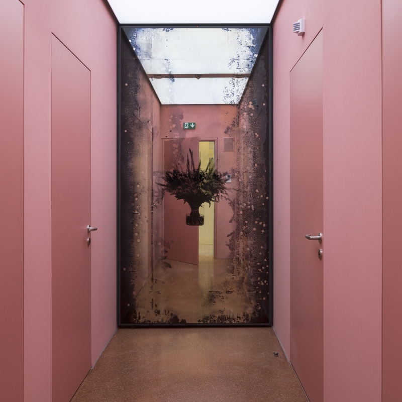 In the picture we see a room with a mirror with a bouquet of flowers in the middle.
The room has pink-painted walls and doors to the left and right.
The mirror is at the end of the room. The edges of the mirror are dark and speckled, like an old photo or movie.

The artwork is by Andreas Duscha.
He made the mirror himself, according to an old recipe from the 17th century.
In the middle you can see an arrangement of flowers - it is a screen print on the mirror surface.

The flowers on the mirror have a deeper meaning:
They stand for social crises and revolutions.
A bouquet is a reminder of revolutions, for example: the Carnation Revolution in Portugal or
the Tulip Revolution in Ukraine.

Duscha is interested in hidden stories and connections.
He uses old techniques and special materials,
to make themes such as power, change and history visible in a quiet, poetic way.

This artwork is part of a series of four mirrors,
, which hang in the anteroom of the Heidi Horten Collection museum toilets.
Each mirror tells its own story - through plants and symbols.