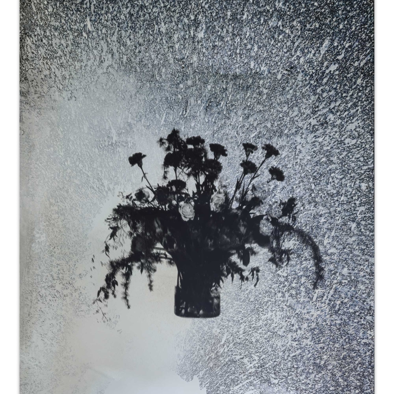 In the picture we see a mirror with a bunch of flowers in the middle.
The edges are dark and speckled, like an old photo or film.

The work of art is by Andreas Duscha.
He made the mirror himself, according to an old recipe from the 17th century.
In the middle you can see an arrangement of flowers - it is a screen print on the mirror surface.

The flowers on the mirror have a deeper meaning:
This bouquet deals with the spread of invasive flower species from North America or Asia that have been introduced to Europe and are displacing native species such as the Canadian goldenrod.

Duscha is interested in hidden stories and connections.
He uses old techniques and special materials,
to make themes such as power, change and history visible in a quiet, poetic way.

This artwork is part of a series of four mirrors,
, which hang in the anteroom of the Heidi Horten Collection museum toilets.
Each mirror tells its own story - through plants and symbols.